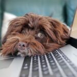entreprise informatique