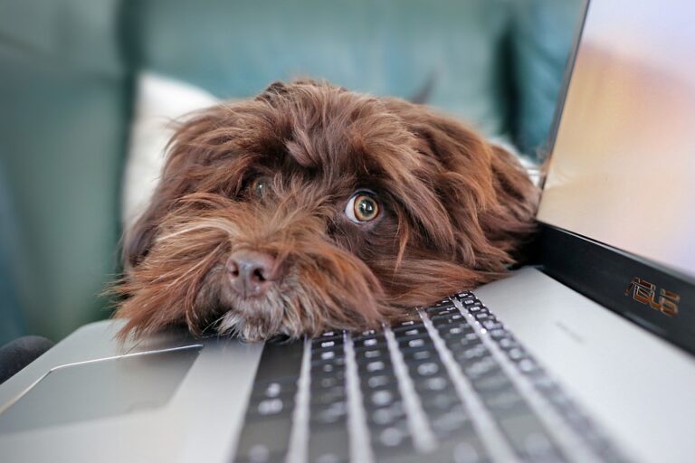 entreprise informatique