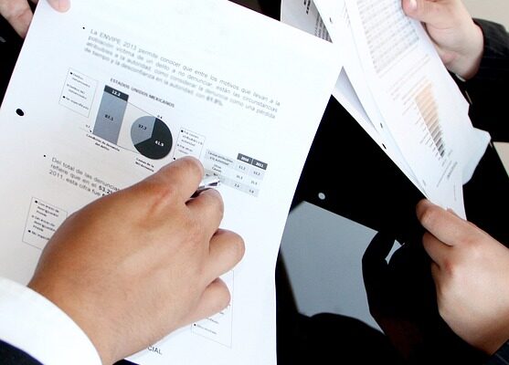 consultant finance twineeds