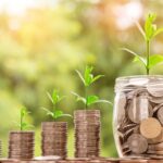cabinet conseil finance twineeds