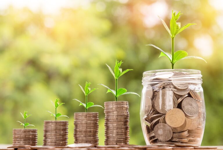 cabinet conseil finance twineeds
